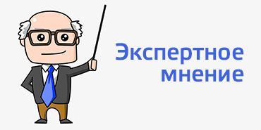 Проект экспертное мнение